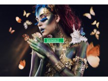 OBRAZ BUTTERFLY 120X80