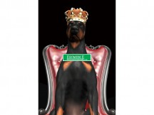 OBRAZ DOG IN CROWN 80X120