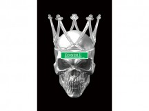 OBRAZ SKULL II 80X120